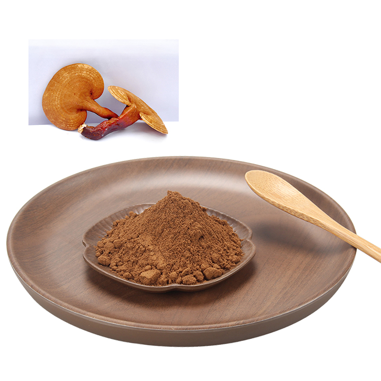 Lingzhi Coffee 3 in 1 Cordyceps Arabica with Chaga Mushroom Water Extracted Powder Packaged in Bag or Drum